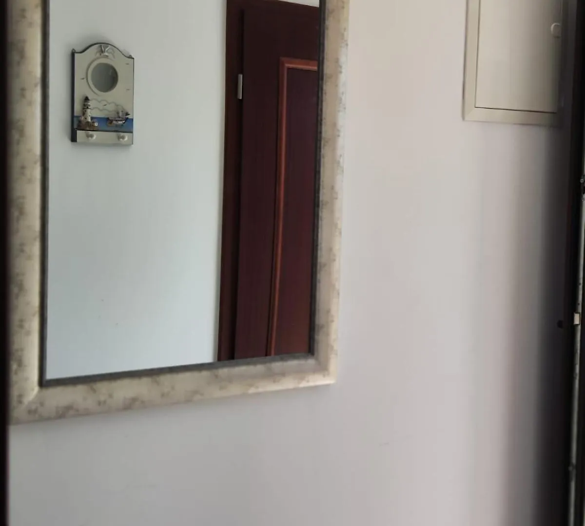 Apartmani Roko Donji Okrug  Donji Okrug (Ciovo)